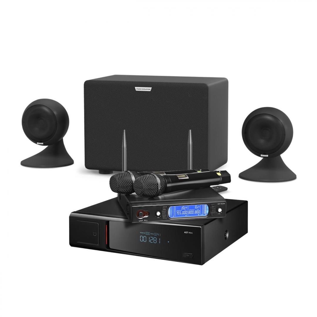 караоке-комплект AST Mini Sound Sphere в Горно-Алтайске
