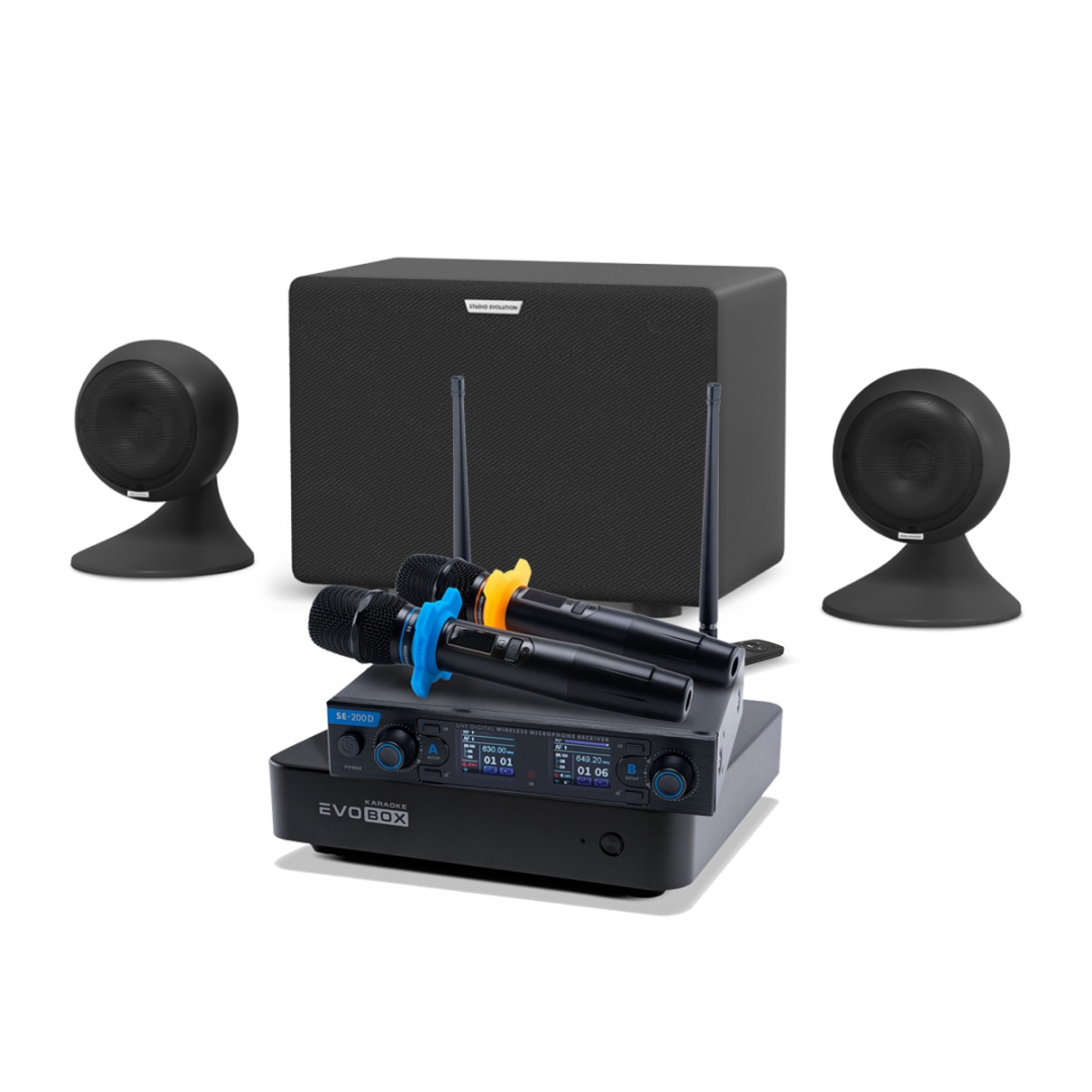 караоке-комплект EVOBOX + EvoSound Sphere 2.1 в Горно-Алтайске