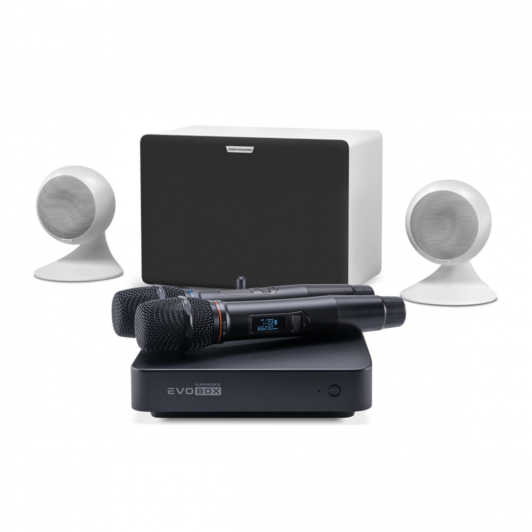 караоке-комплект EVOBOX Classic + EvoSound Sphere 2.1 в Горно-Алтайске
