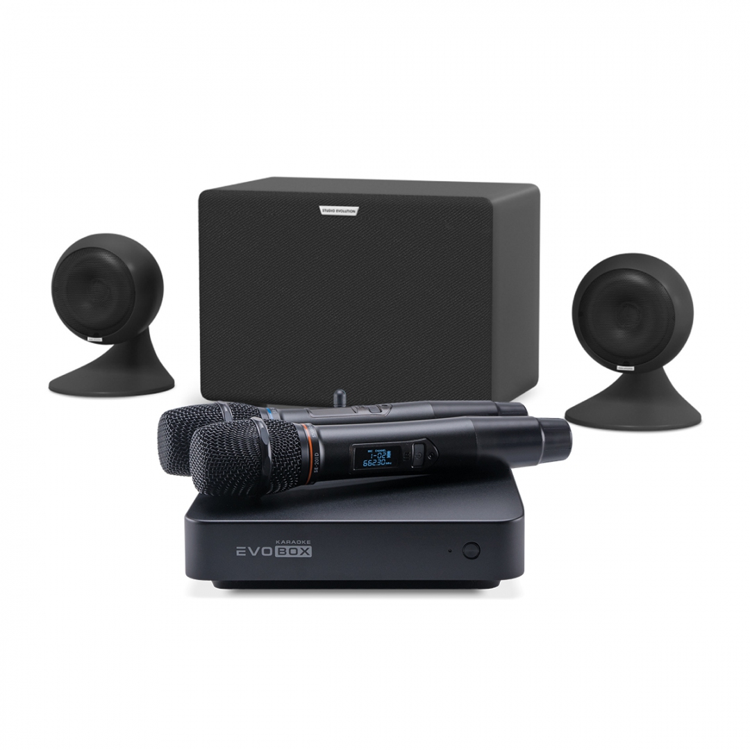 караоке-комплект EVOBOX Plus + EvoSound Sphere 2.1 в Горно-Алтайске