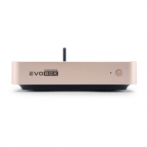 EVOBOX Plus караоке-система для дома в Горно-Алтайске