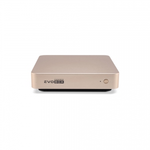 EVOBOX с микрофонами в Горно-Алтайске